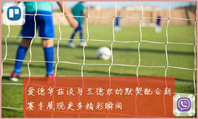 爱德华兹谈与兰德尔的默契配合新赛季展现更多精彩瞬间