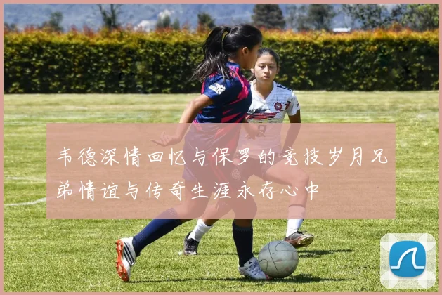 韦德深情回忆与保罗的竞技岁月兄弟情谊与传奇生涯永存心中